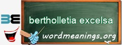 WordMeaning blackboard for bertholletia excelsa